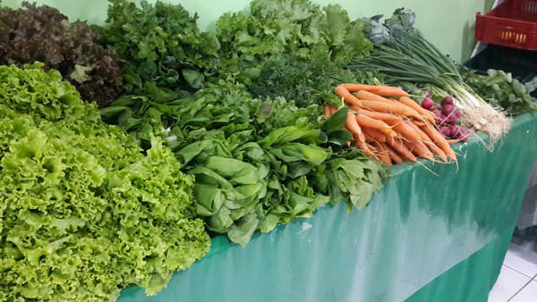 Huertas Online en Paraguay: 9 Mercados que reparten sus productos agro-ecológicos a domicilio | Frugalísima