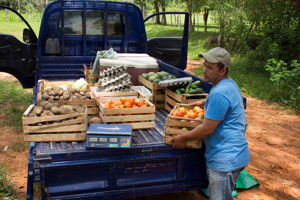 Huertas Online en Paraguay: 9 Mercados que reparten sus productos agro-ecológicos a domicilio | Frugalísima